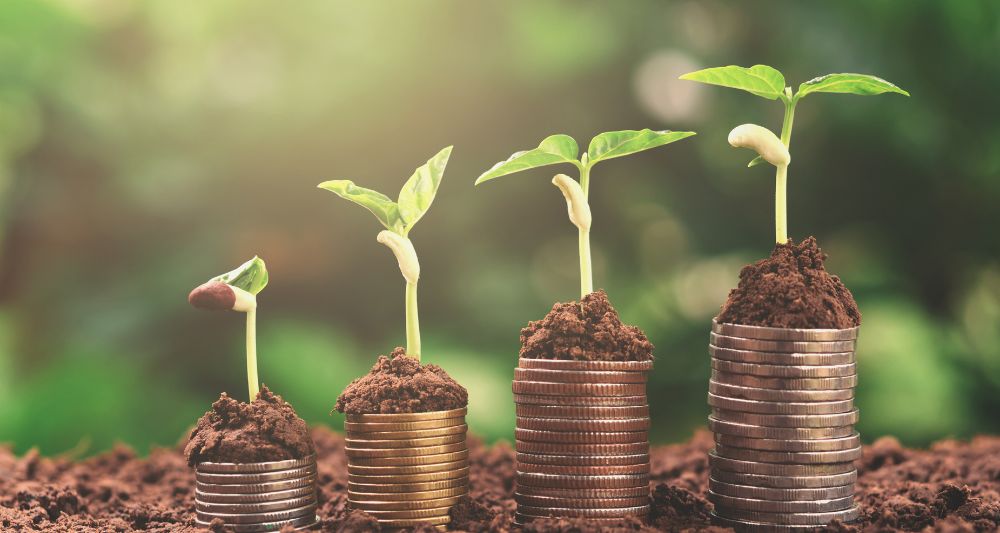 Imagen de cuatro pilas de monedas con plantas creciendo, usada en una entrada en el blog de Chapa Cambio sobre qué son las finanzas verdes